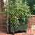 EarthBox Original Gardening System