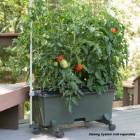 EarthBox Tomato & Veggie Boost