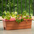 EarthBox Junior Gardening System