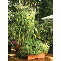 EarthBox Victory Garden Bundle