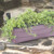 EarthBox Junior Gardening System - Eggplant