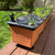 EarthBox Automatic Watering System