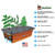 EarthBox Junior Gardening System - Eggplant