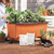 EarthBox Replant Kit